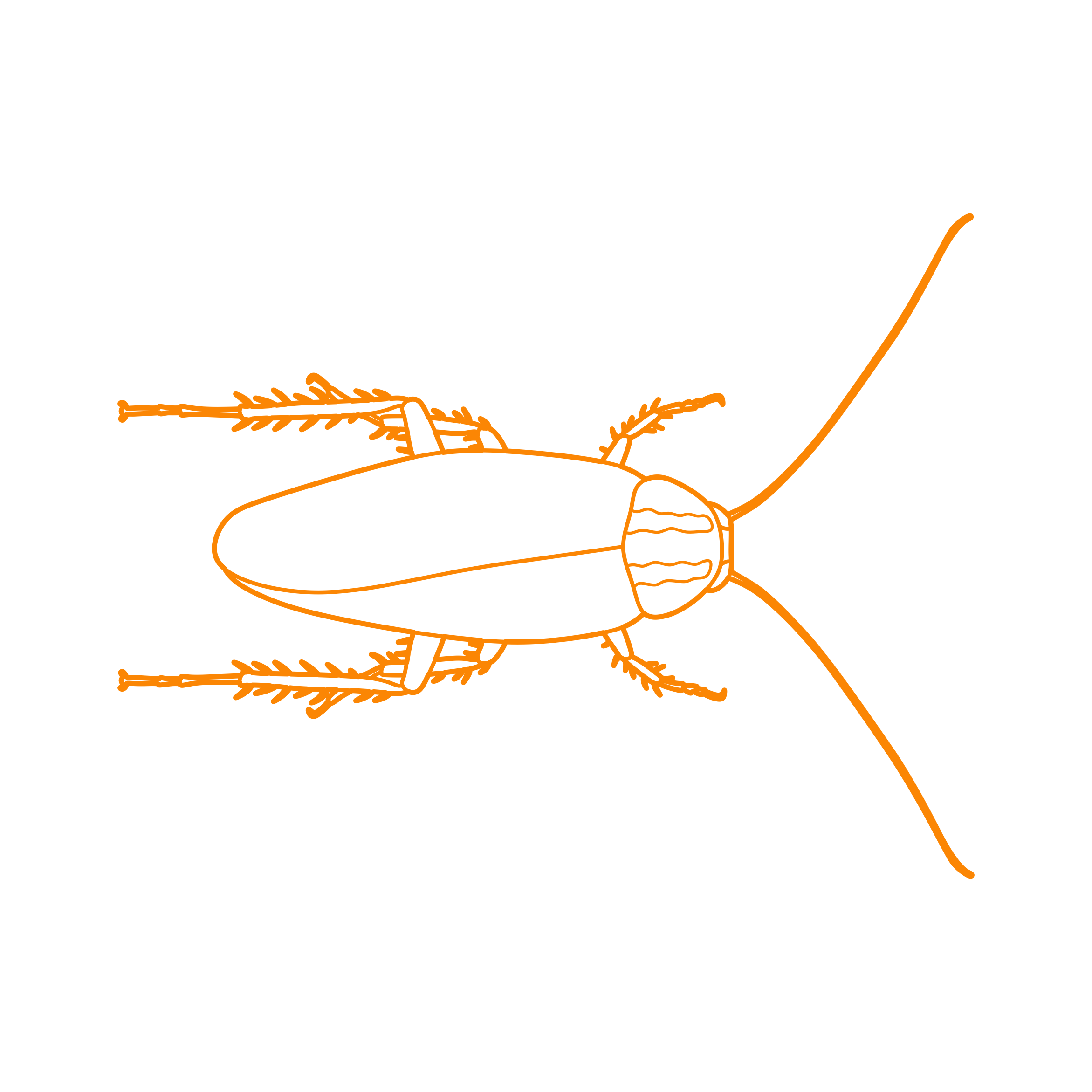 Animals Insects German Cockroach Tracing Svg Vector Free Vectors